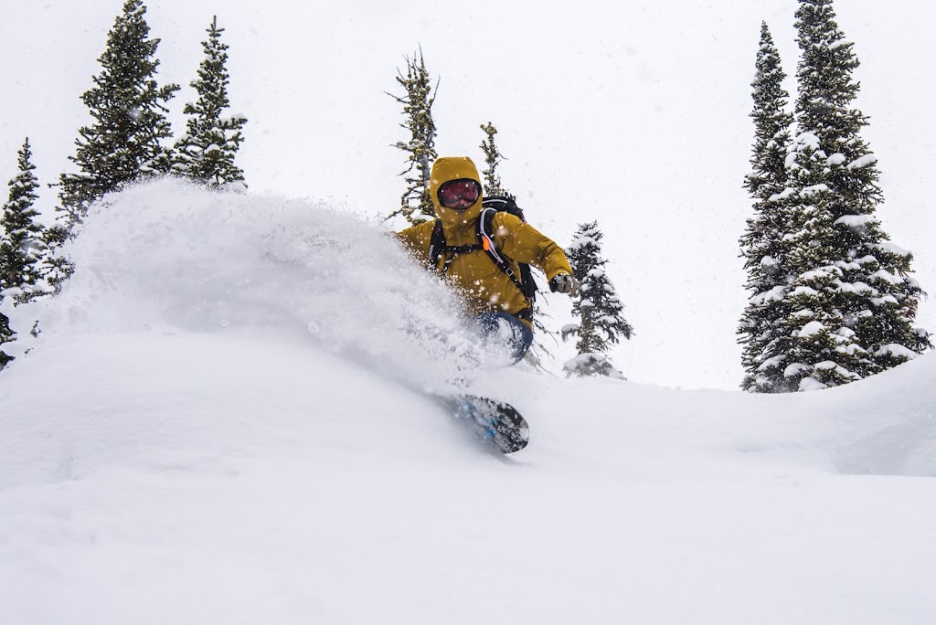 Selkirk Powder Descents | 858 Ohlhausen Rd, Revelstoke, BC V0E 3K0, Canada | Phone: (250) 837-1684