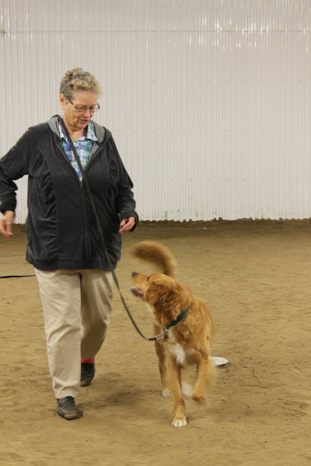 On Target Dog Training | 188 Burbridge Rd, Colborne, ON K0K 1S0, Canada | Phone: (905) 355-1707