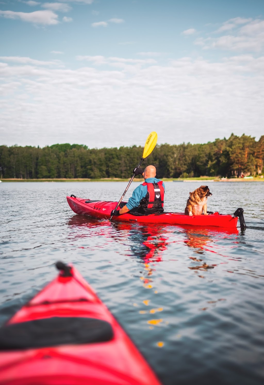 Island View Kayak & SUP Rentals | 193 Beachside Dr, Parksville, BC V9P 0B1, Canada | Phone: (250) 470-8562