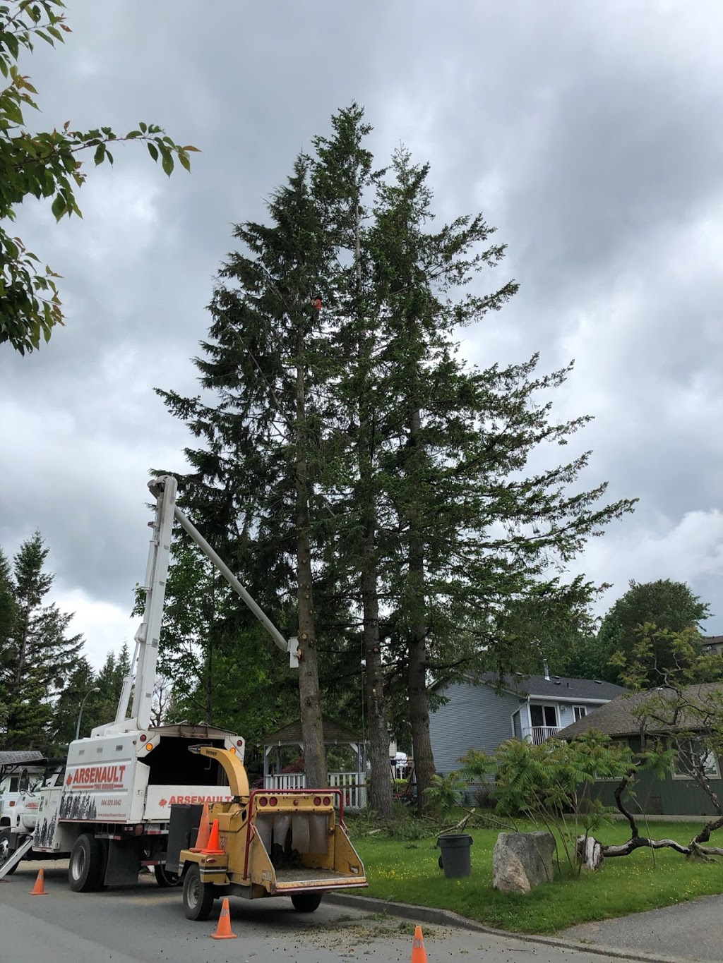 Arsenault Tree Service | 33746 Best Ave, Mission, BC V2V 6Z9, Canada | Phone: (604) 820-8842