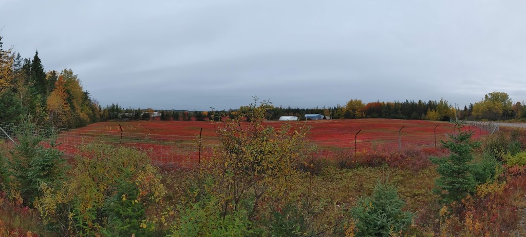 Wild Blueberry Producers Association of Nova Scotia | 168 Dakota Rd, Debert, NS B0M 1G0, Canada | Phone: (902) 662-3306