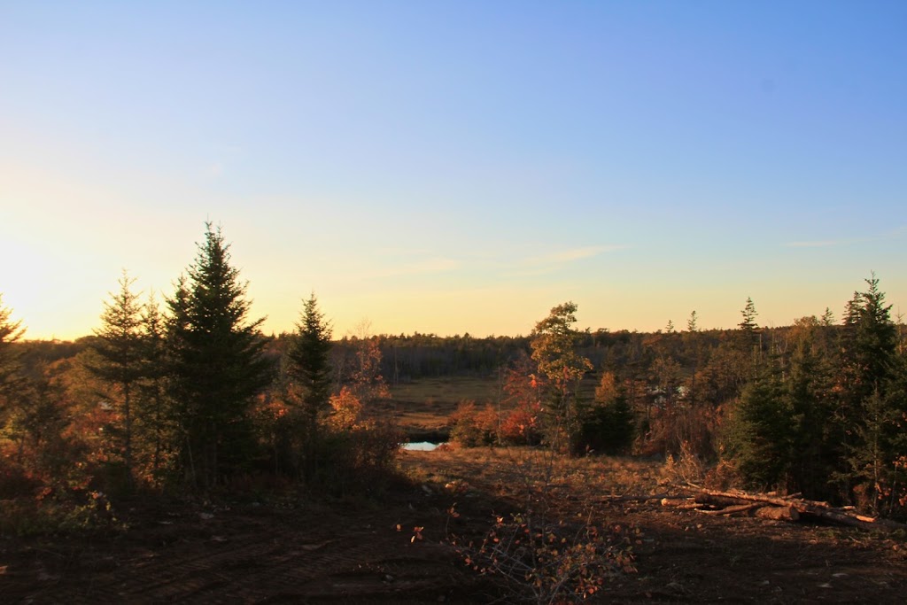 Deep Sky Eye Observatory | 338 Frotten Rd, Tusket, NS B0W 3M0, Canada | Phone: (902) 648-2723