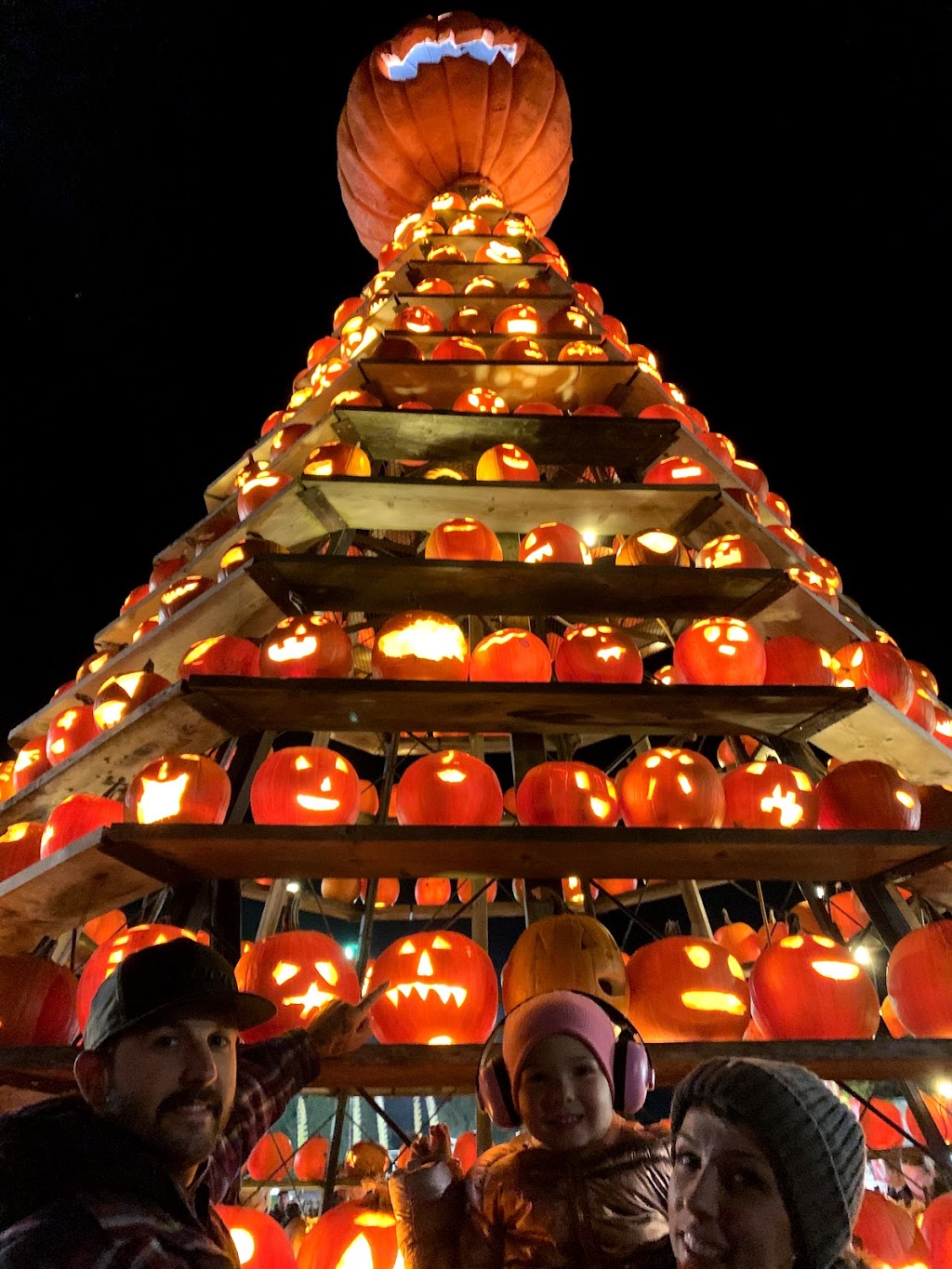 Waterford Pumpkin Festival Inc | 76 Main St S, Waterford, ON N0E 1Y0, Canada | Phone: (519) 443-4944