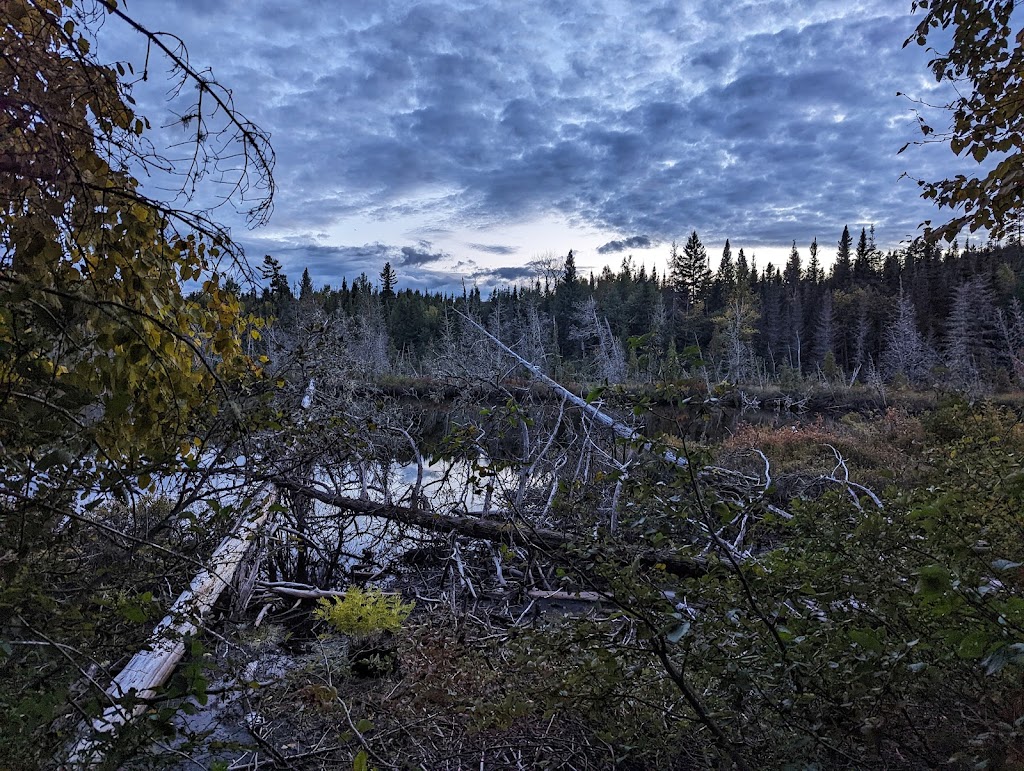 Zec Du Lac Brebeuf | 247 Chem. du Lac Brébeuf, Saint-Félix-dOtis, QC G0V 1M0, Canada | Phone: (418) 544-4884