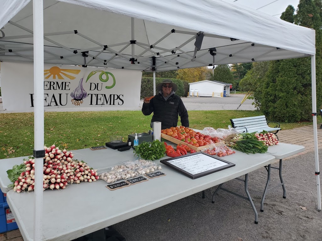 Marché Public de Papineauville | 791 Rte 321 #791, Papineauville, QC J0V 1R0, Canada | Phone: (514) 742-9320