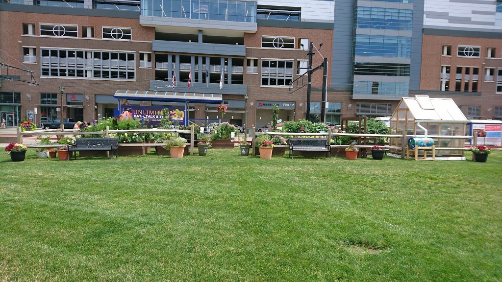 ECC Learning Garden | Buffalo, NY 14203, USA
