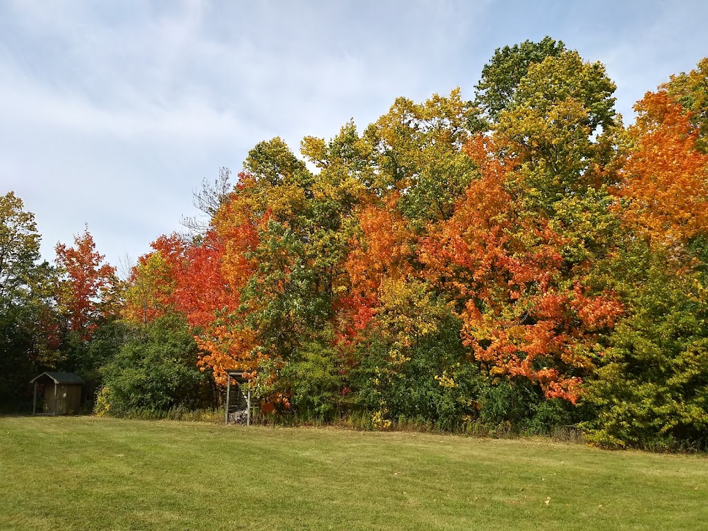 Willowgrove Farm, Day Camp, and Nature School | 11737 McCowan Rd, Whitchurch-Stouffville, ON L4A 4C3, Canada | Phone: (905) 640-2127