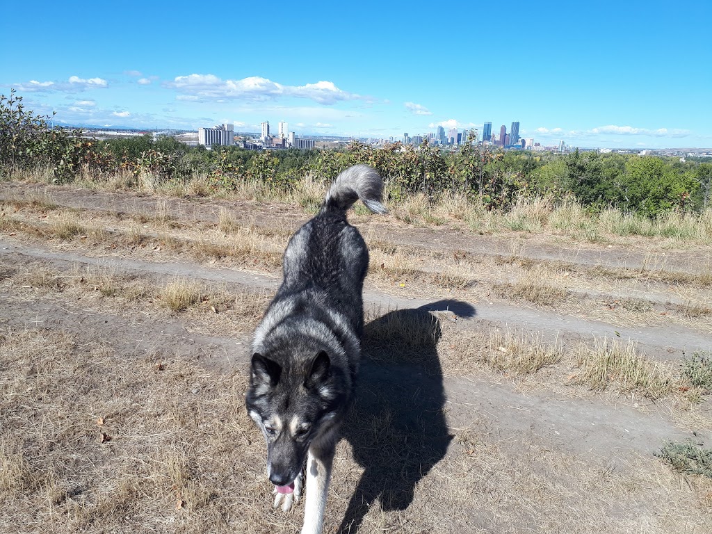 Southview Off Leash Area | Dover, Calgary, AB T2B, Canada