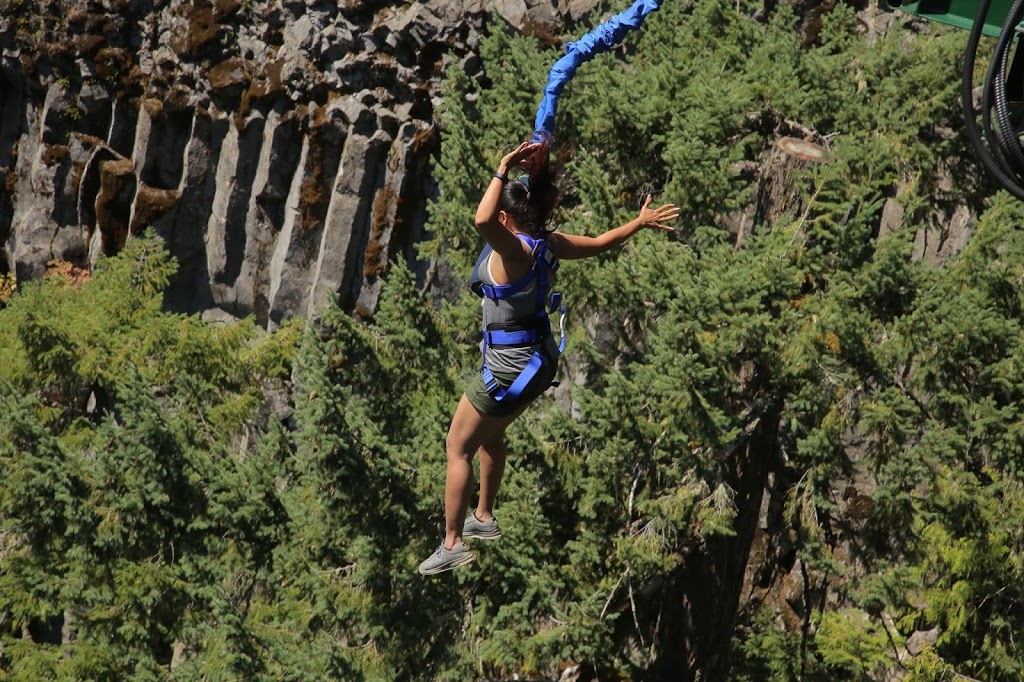 Whistler Bungee Bridge | Calcheak Forest Service Rd, Whistler, BC V0N 1B1, Canada | Phone: (877) 938-9333