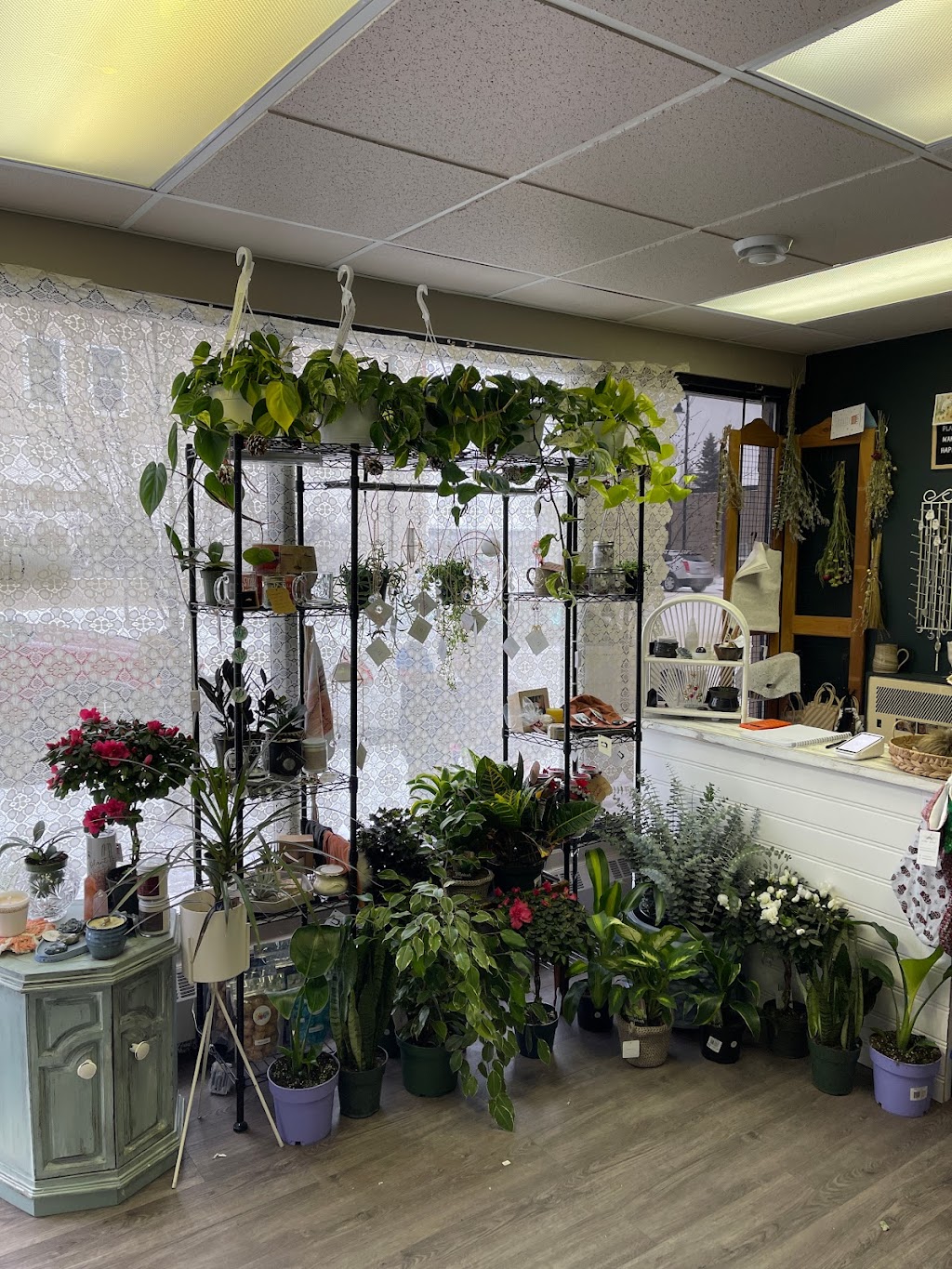 Rose and Holly | 5001 Broadway Ave Unit D, Blackfalds, AB T0M 0J0, Canada | Phone: (403) 392-8928