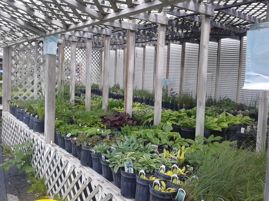 Stoneridge Gardens & Nursery | 1851 Galbraith Rd, Clayton, ON K0A 1P0, Canada | Phone: (613) 256-4348