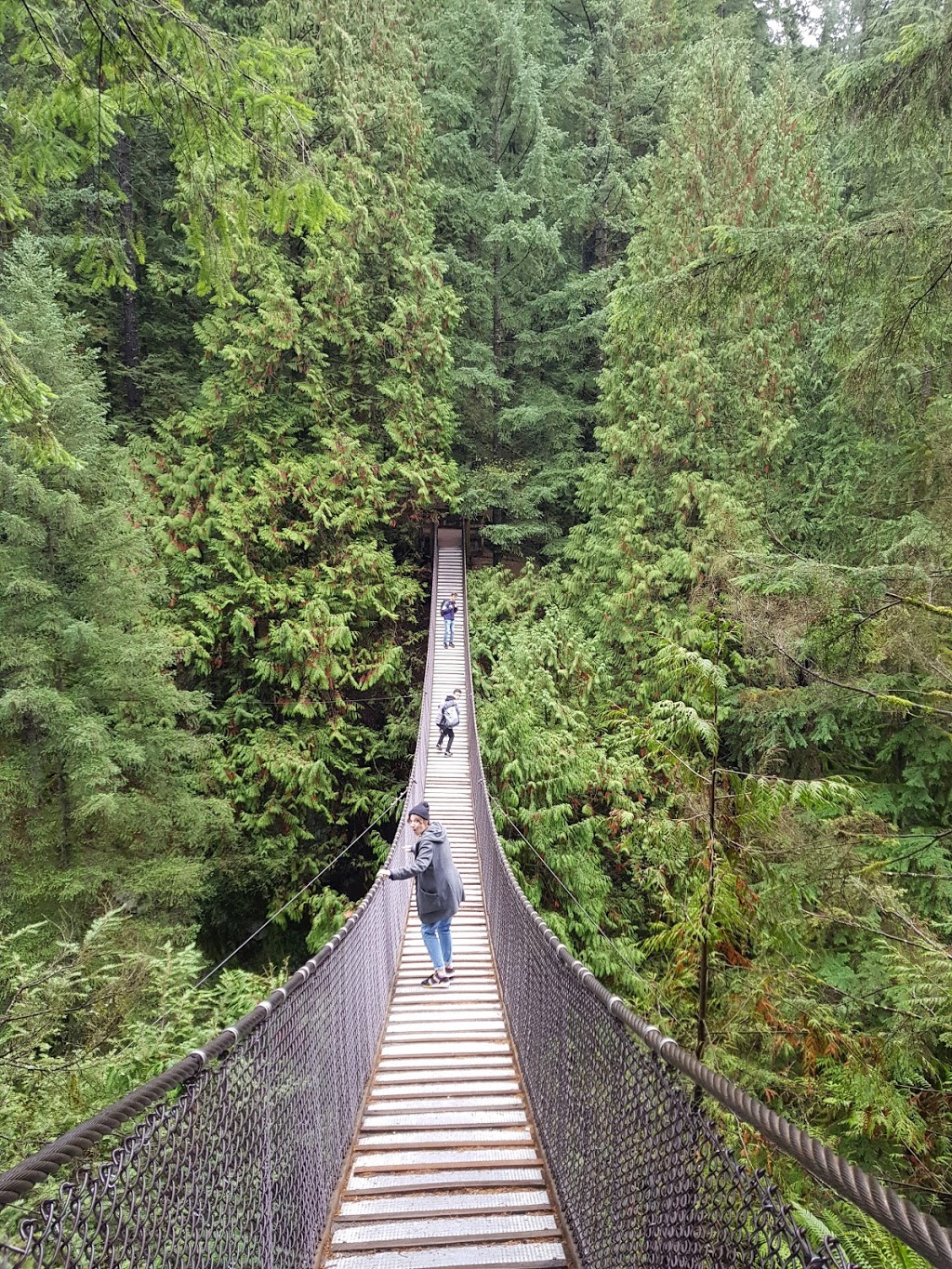 Lynn Canyon Park | 3690 Park Rd, North Vancouver, BC V7J 3K2, Canada | Phone: (604) 990-3755