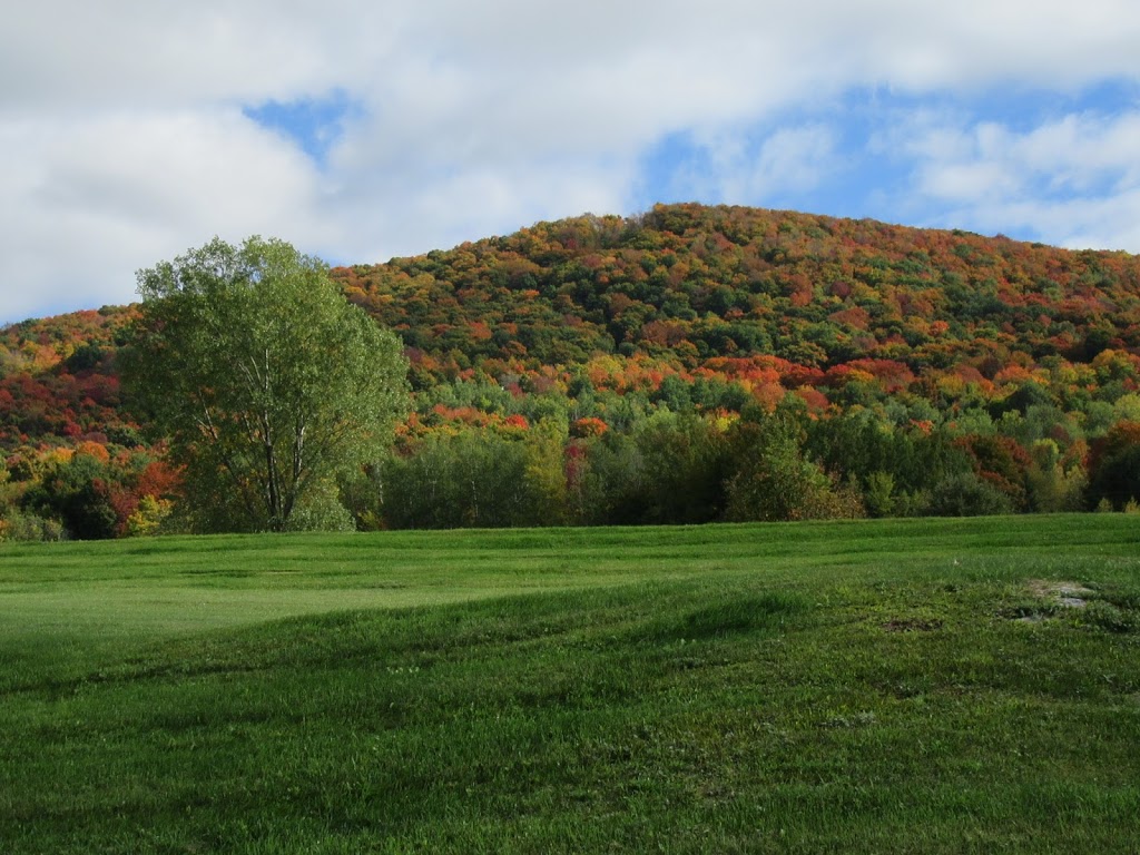 Parc Équestre Olympique de Bromont | 450 Chemin de Gaspé, Bromont, QC J2L 1A9, Canada | Phone: (450) 534-0787