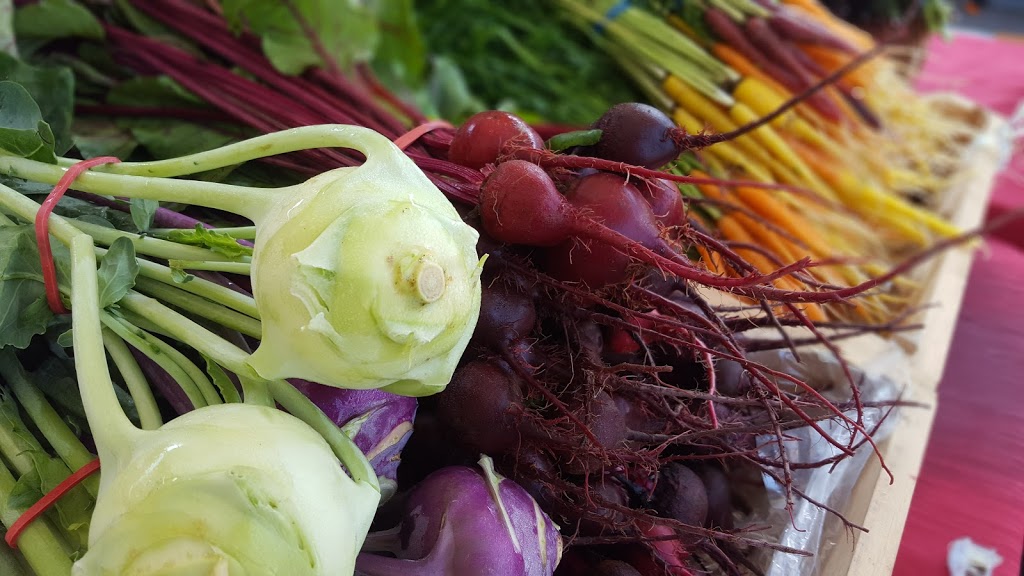 La récolte de la rouge | 191 Rang des Vents, Brébeuf, QC J0T 1B0, Canada | Phone: (819) 307-5282