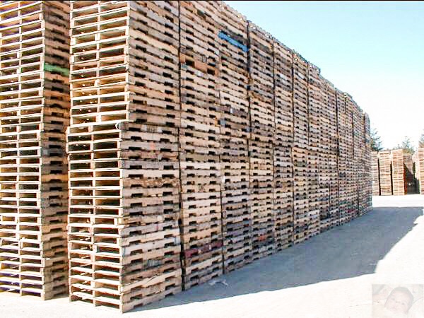 Pallet Recycling Guys | 29891 Fraser Hwy, Abbotsford, BC V4X 1G2, Canada | Phone: (604) 761-5661