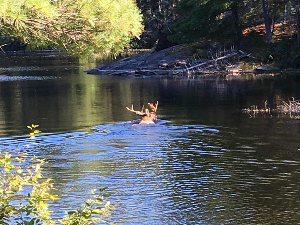 Silvry Moon Lodge | Silvry Moon Rd, Noëlville, ON P0M 2N0, Canada | Phone: (705) 857-2633