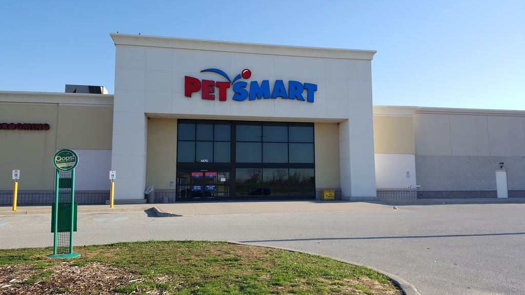 PetSmart | 1470 Quinn Dr #2, Sarnia, ON N7S 6M8, Canada | Phone: (519) 542-2822