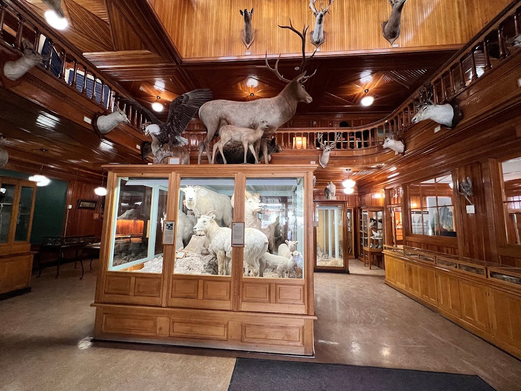 Banff Park Museum National Historic Site | 91 Banff Ave, Banff, AB T1L 1K2, Canada | Phone: (403) 762-1558