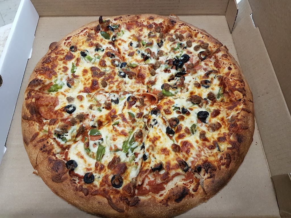 Pizza Shark | 569 Gladstone Ave, Ottawa, ON K1R 5P2, Canada | Phone: (613) 563-9999