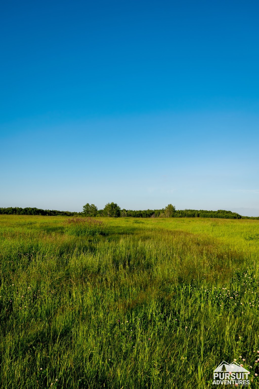 Lockerby Conservation Site | AB-816, Red Deer County, AB T4E 1C1, Canada | Phone: (877) 969-9091