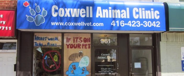 Coxwell Animal Clinic | 961 Coxwell Ave, East York, ON M4C 3G4, Canada | Phone: (416) 423-3042