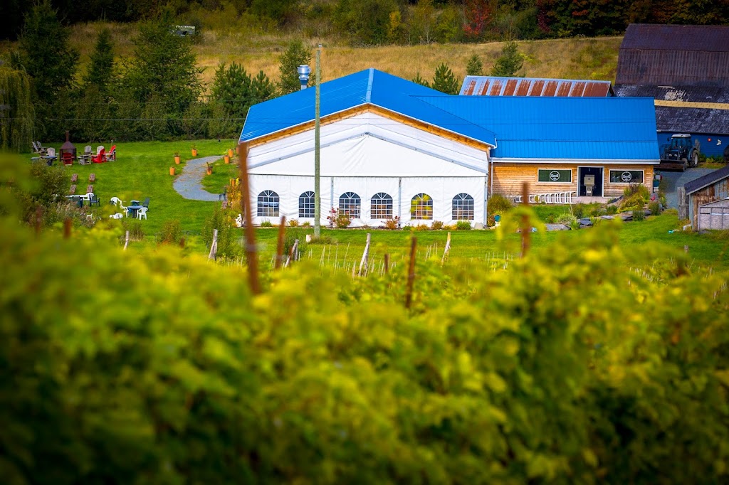 Vignoble la vallée des Nuages | 35 Chem. Gallup, Danville, QC J0A 1A0, Canada | Phone: (819) 839-3585