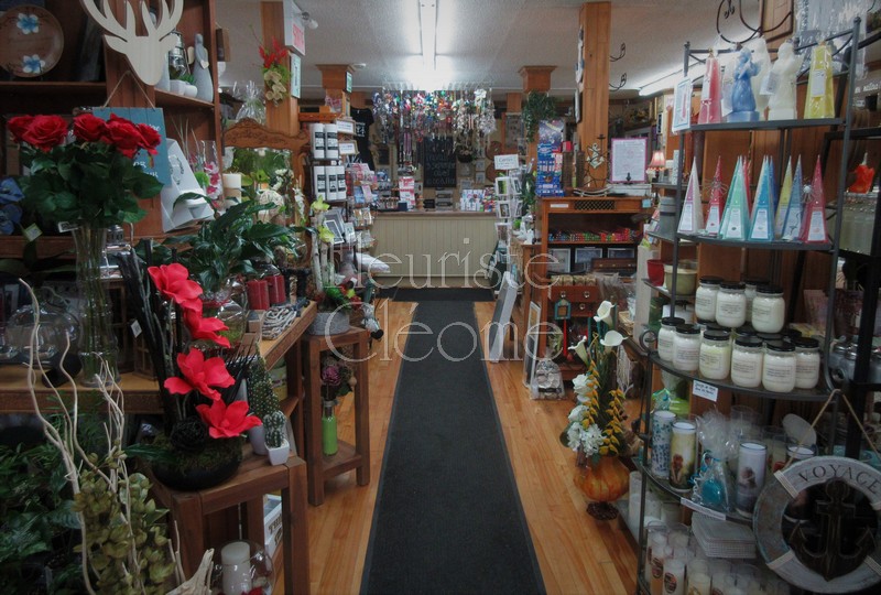 Fleuriste Et Boutique Cadeaux Cléome | 174 Boulevard Ste Anne, Sainte-Anne-des-Plaines, QC J0N 1H0, Canada | Phone: (450) 478-7312