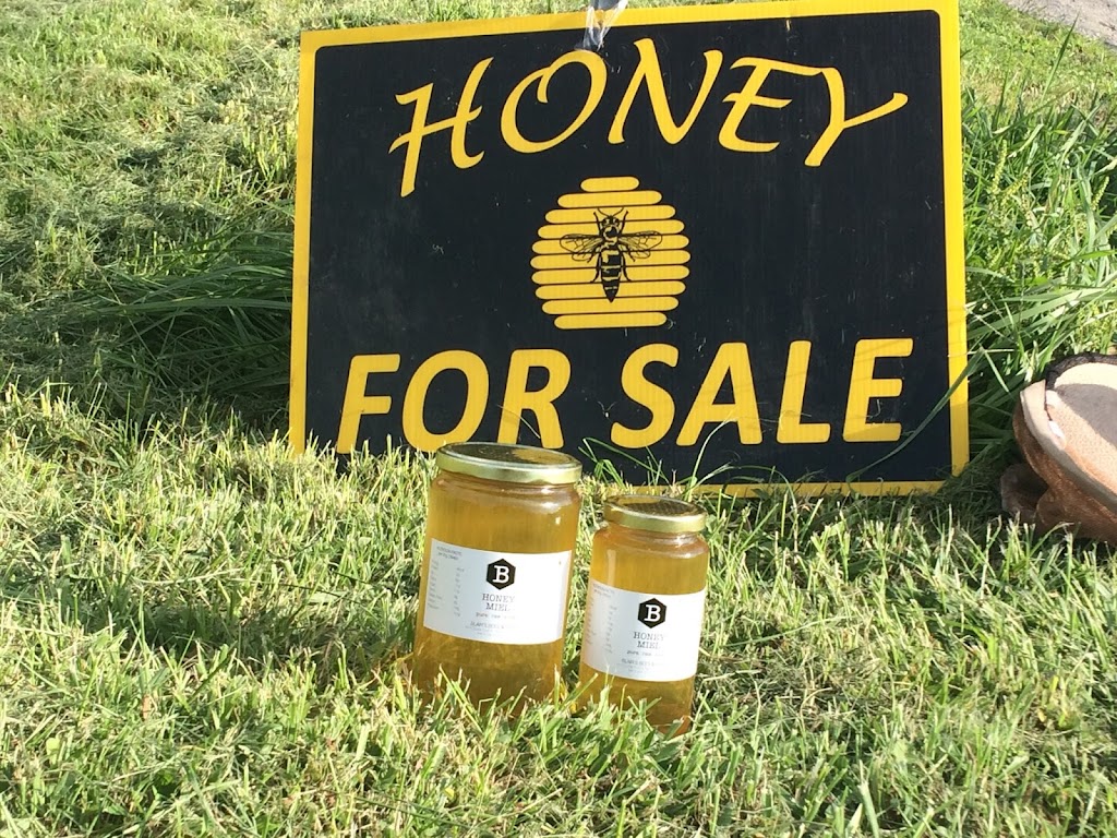 Ontario Honey Company | 1614 River Rd, Napanee, ON K7R 3K8, Canada | Phone: (613) 328-3511