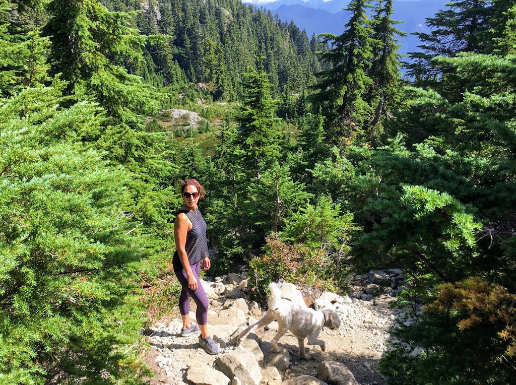 Mount Seymour Trail | Mount Seymour Trail, North Vancouver, BC V7G 1L3, Canada