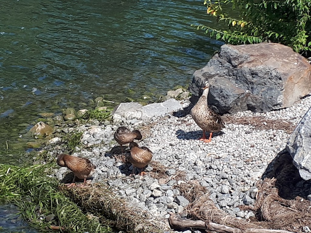 Parc du Bassin-de-La Prairie | QC-132, La Prairie, QC J5R, Canada