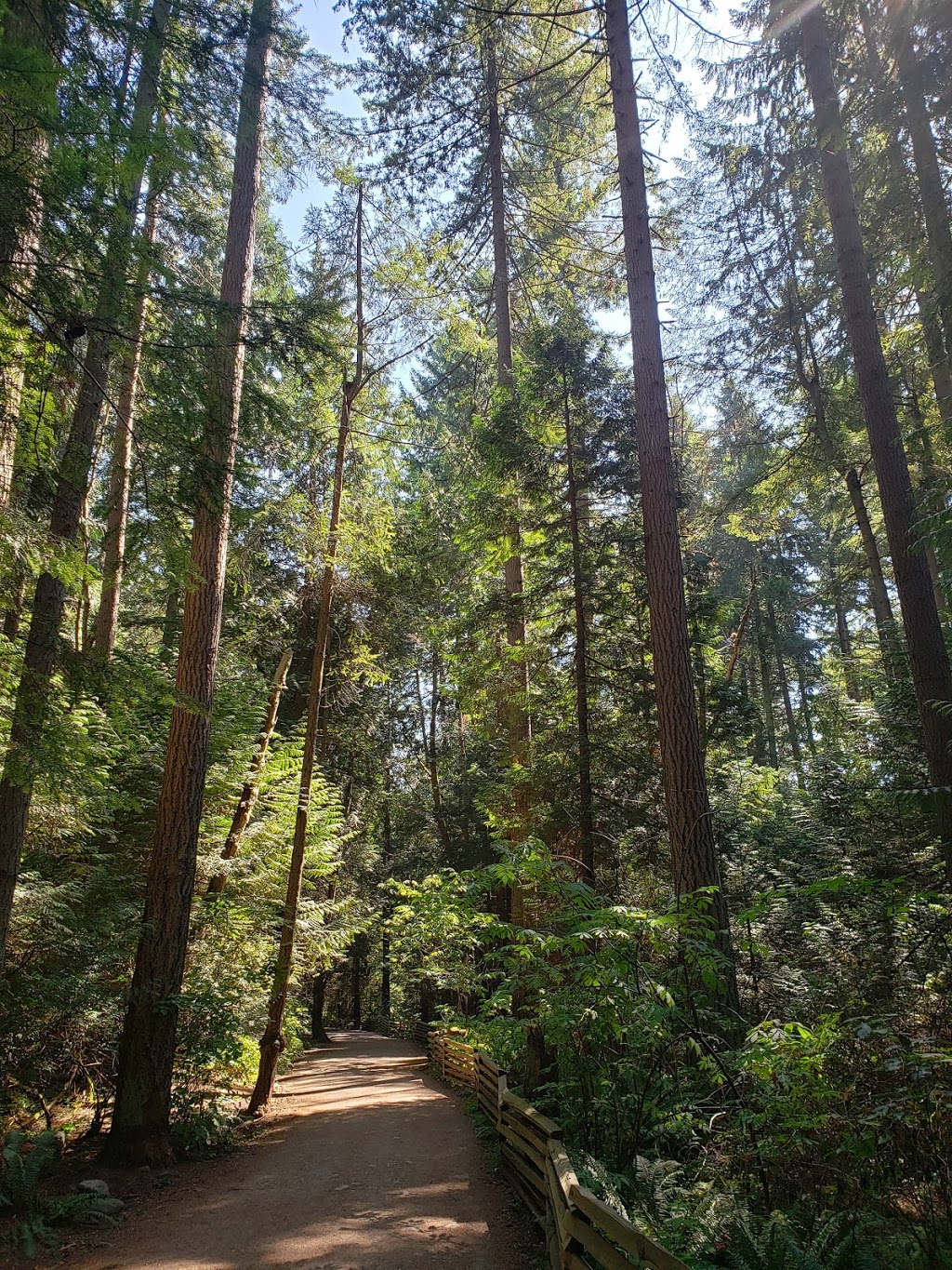 Sasamat Trail Public Outhouse | Sasamat Trail near 33rd Entrance, Sasamat Trail (22), Vancouver, BC V6N 2C4, Canada | Phone: (604) 224-5739