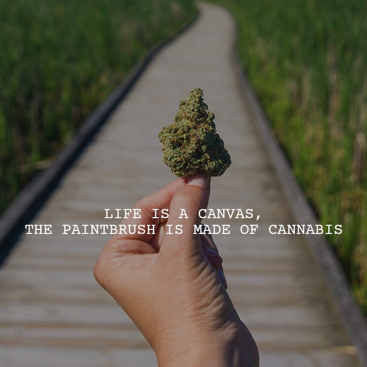 The Potery - Cannabis Guelph | 115 Starwood Dr, Guelph, ON N1E 7J9, Canada | Phone: (519) 265-8768