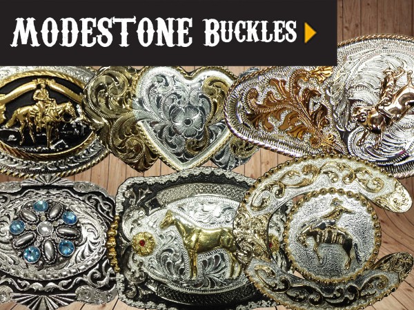 Modestone.com | 300 Rue de la Berge du Canal #336, Lachine, QC H8R 1H3, Canada | Phone: (514) 364-9239