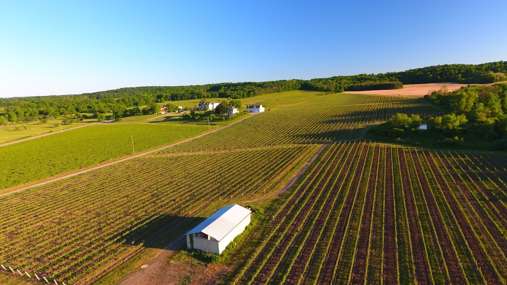 Above & Beyond Aerial Images | 68 Plum Tree Ln, Grimsby, ON L3M 5T6, Canada | Phone: (905) 518-7800