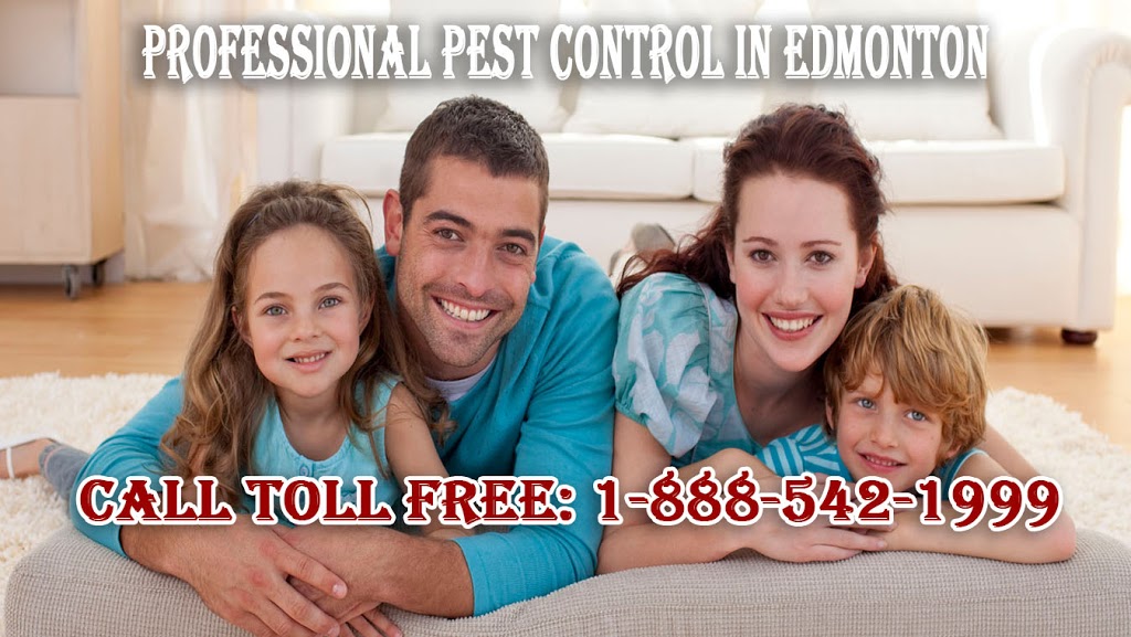 Pest Force | 4804 93 Ave NW, Edmonton, AB T6B 2P8, Canada | Phone: (780) 440-2818