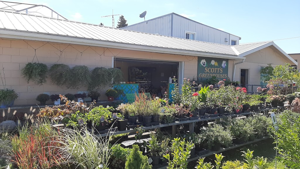 Scotts, J & D Greenhouses | 160 Huron Rd, Mitchell, ON N0K 1N0, Canada | Phone: (519) 348-8343