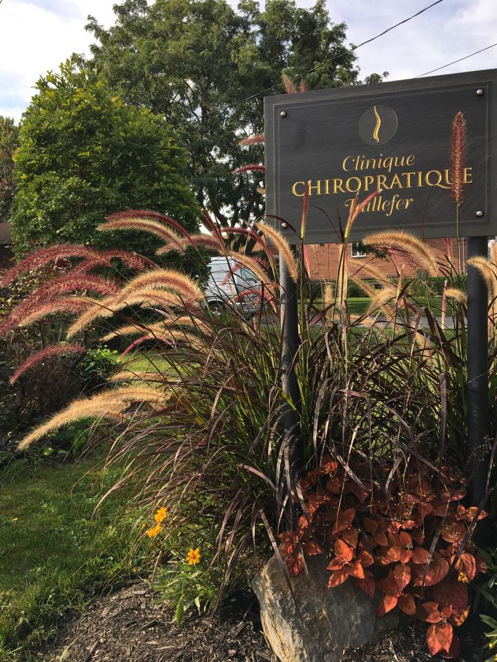 Clinique Chiropratique Taillefer | 5394-A Boulevard Saint-Martin O, Laval, QC H7T 2Y3, Canada | Phone: (450) 688-2947