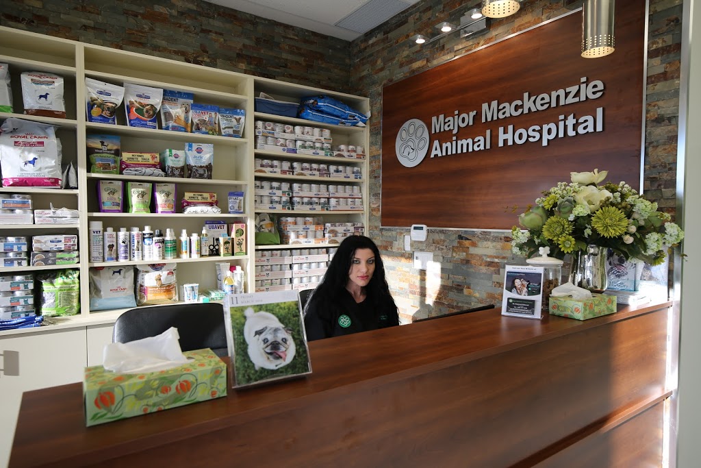 Major Mackenzie Animal Hospital | 3737 Major MacKenzie Dr W, Woodbridge, ON L4H 3C8, Canada | Phone: (647) 297-8141