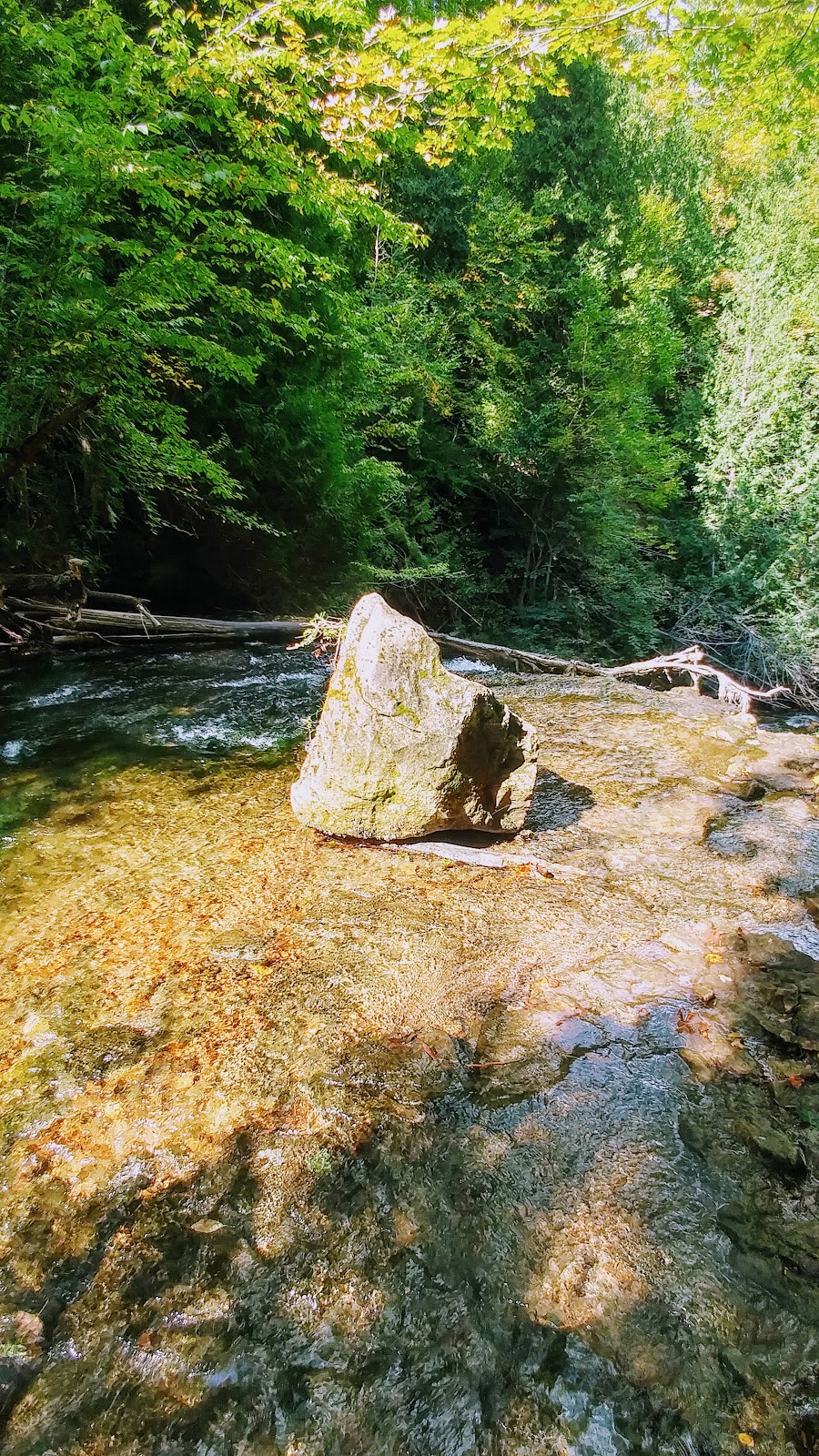 Bruce Trail | Hockley Rd, Orangeville, ON L9W 2Y8, Canada