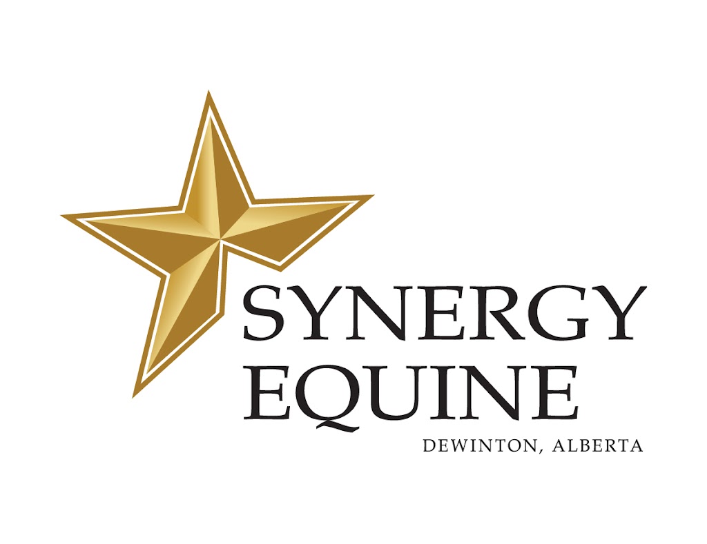 Synergy Equine Veterinary Services | 64020 242 Ave W, Alberta T1S 4C2, Canada | Phone: (403) 700-0818