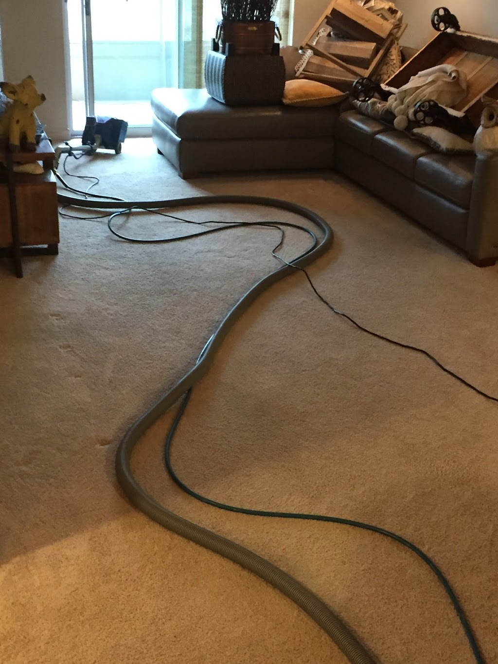 Extraction Carpet Cleaning | 525 Highland Rd W #402, Kitchener, ON N2M 5P4, Canada | Phone: (519) 729-7240