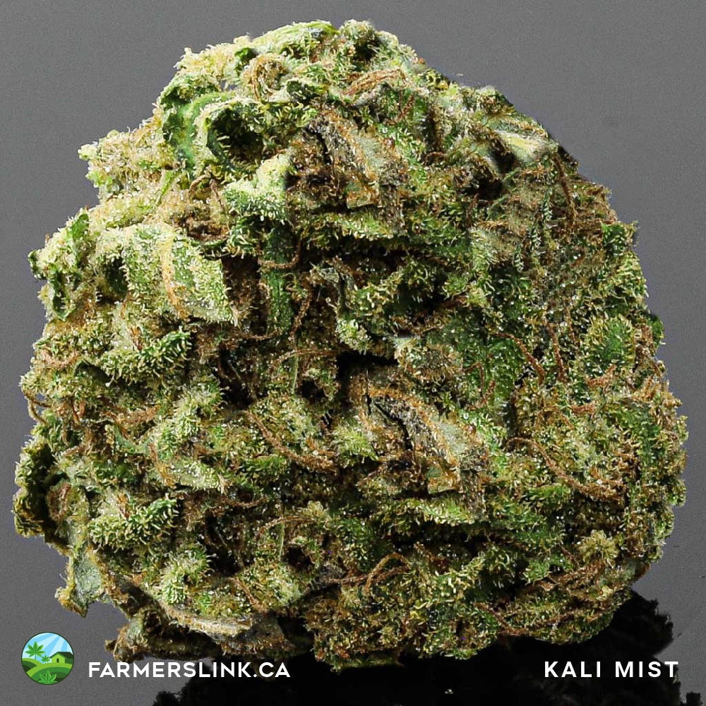 Farmers Link | Toronto West Dispensary | 463 Vaughan Rd, York, ON M6C 2P3, Canada | Phone: (647) 868-8888