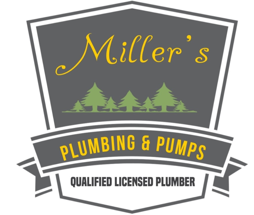 Millers Plumbing and Pumps | 33 Humphrey Dr, Parry Sound, ON P2A 2W8, Canada | Phone: (905) 531-9737