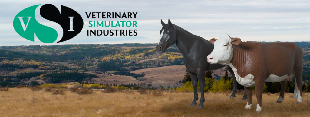 Veterinary Simulator Industries Ltd | 2985 23 Ave NE Unit 120, Calgary, AB T1Y 7L3, Canada | Phone: (403) 262-9393