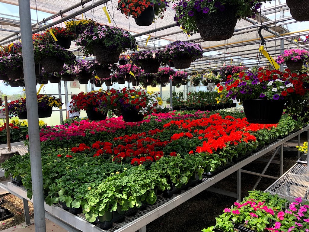 Arnold’s Greenhouse | Halton Hills, ON, Canada