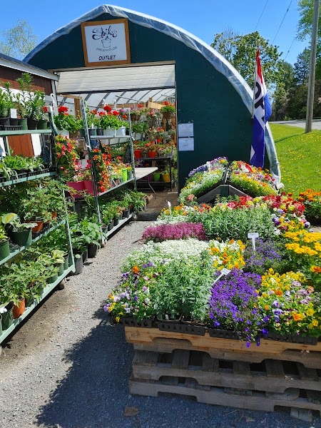 Sheilas Greenhouse | 945 Moscow Rd, Yarker, ON K0K 3N0, Canada | Phone: (613) 217-8067