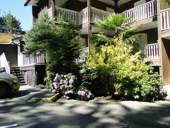 Deer Lodge Motel | 2529 Partridge Rd, Mill Bay, BC V0R 2P1, Canada | Phone: (250) 743-2423