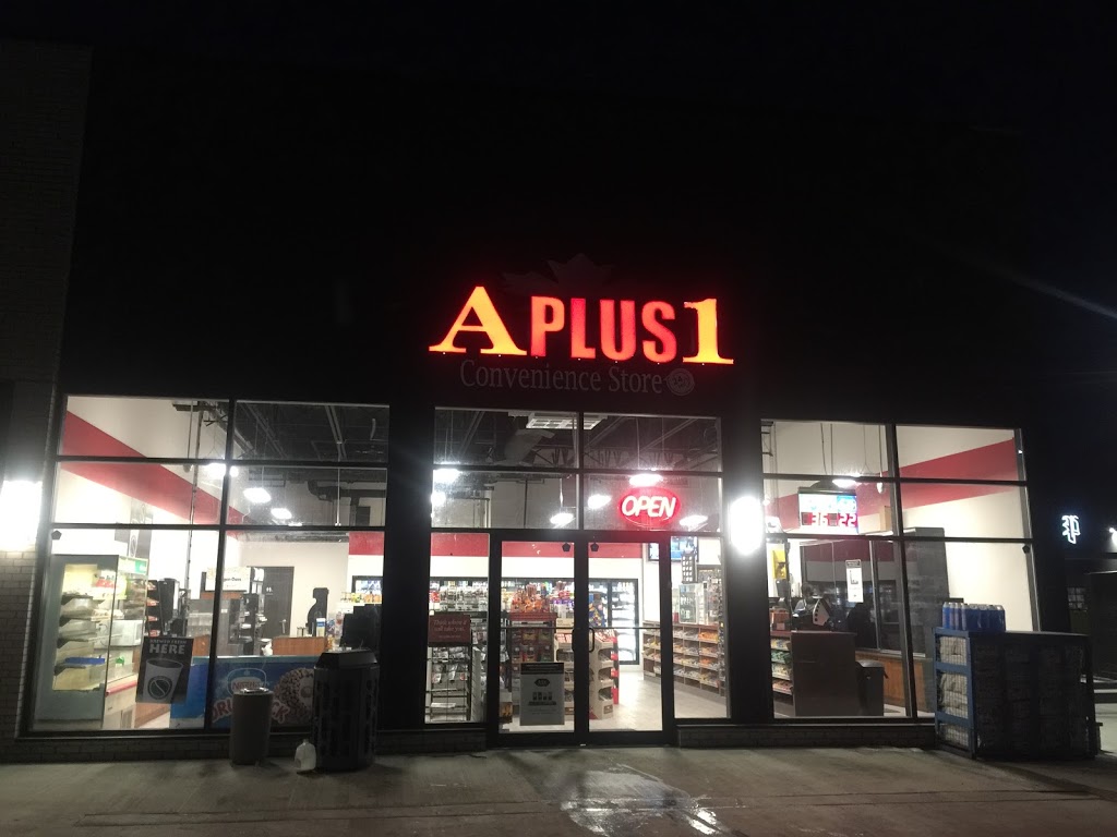 A Plus 1 Convenience Store | 2515 90 Ave SW, Calgary, AB T2V 3H5, Canada | Phone: (403) 281-2677