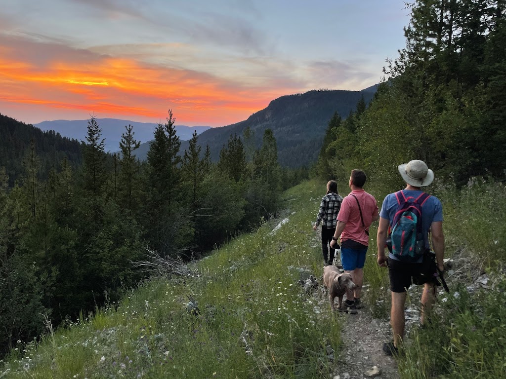 Ram Creek Hot Springs | White Ram Forest Service Rd, East Kootenay, BC V0B 2E0, Canada | Phone: (604) 265-2876