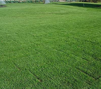 Vancouver Sod Farms | 3865 72 St, Delta, BC V4K 3N2, Canada | Phone: (604) 803-4125